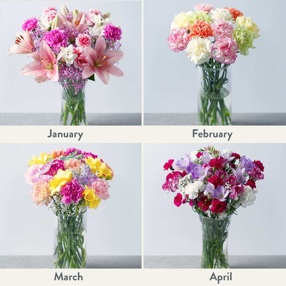 Image of Flowers for a Year